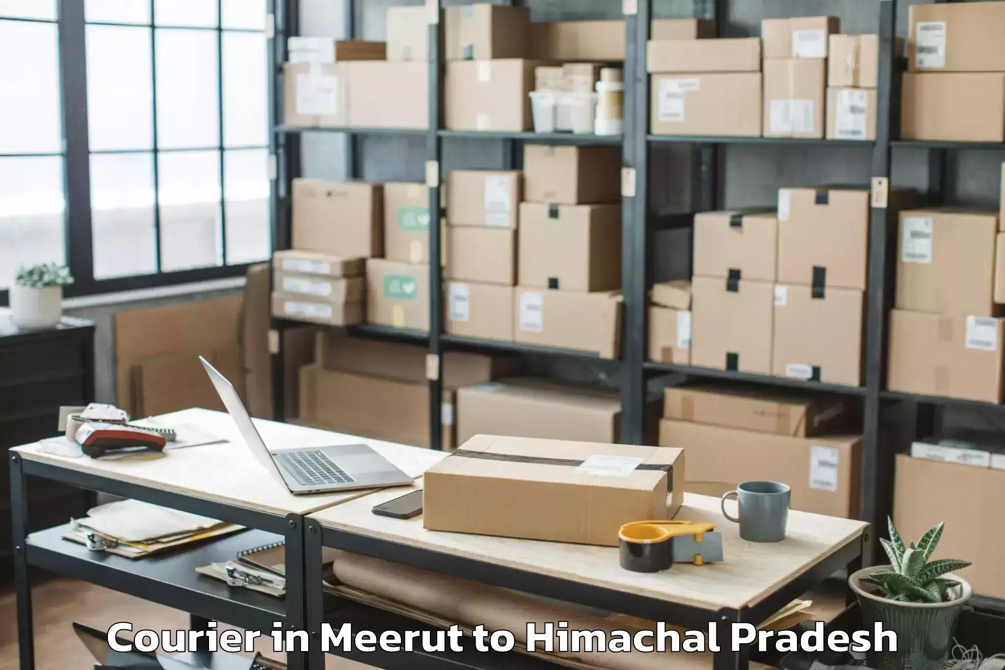 Book Meerut to Baddi Courier Online